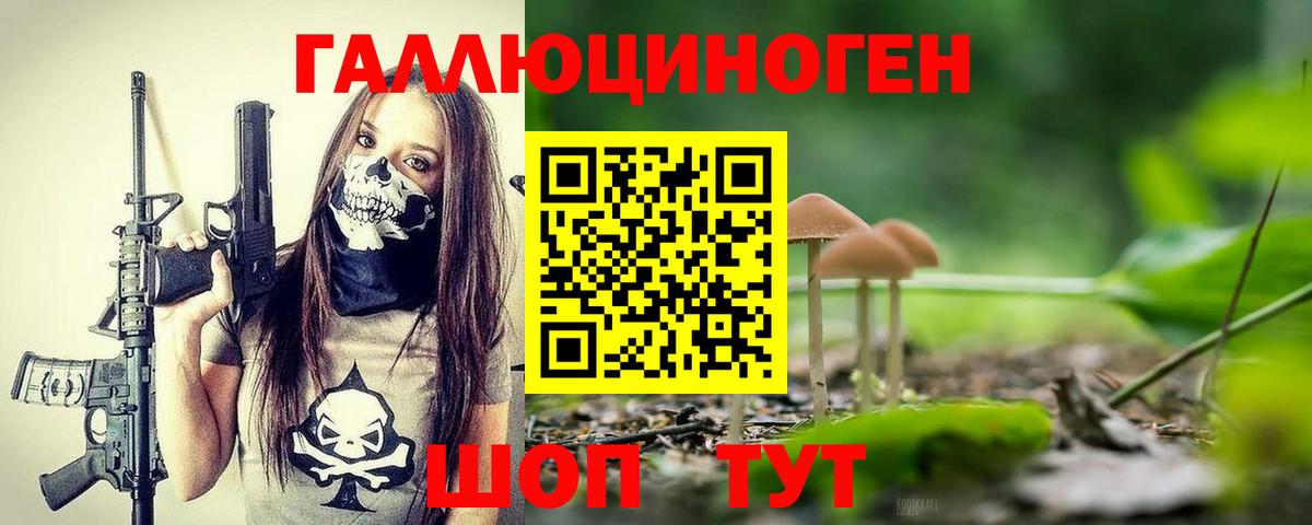 Гатчина  Псилоцибиновые грибы Psilocybe  Вход с VPN  Псилоцибиновые грибы GOLDEN TEACHER 